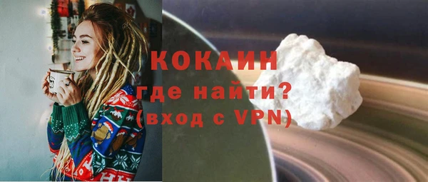 сатива Каменка