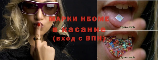 сатива Каменка