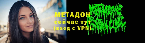 сатива Каменка