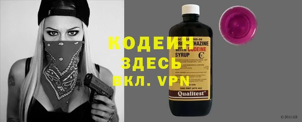 сатива Каменка