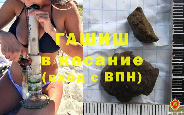 сатива Каменка