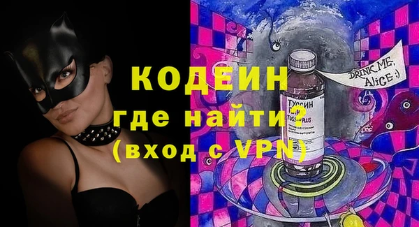 сатива Каменка