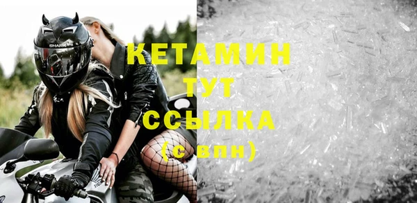 сатива Каменка