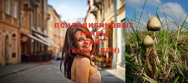 мефедрон Каменногорск
