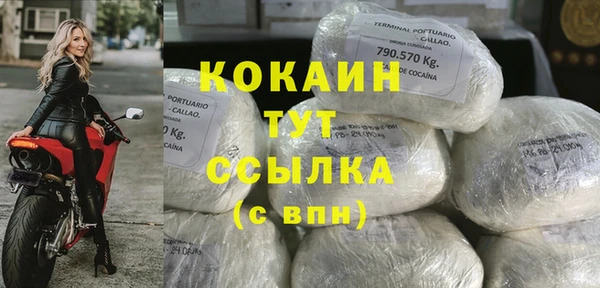 сатива Каменка