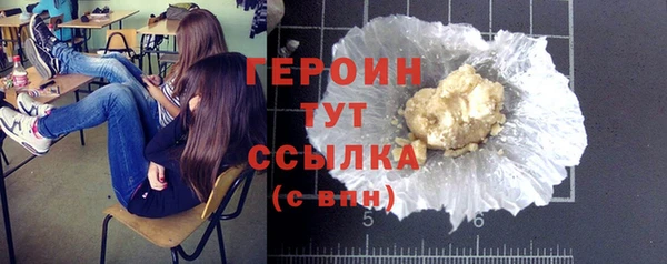 сатива Каменка