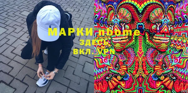 сатива Каменка