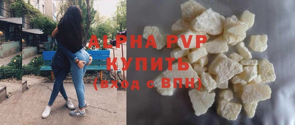 сатива Каменка