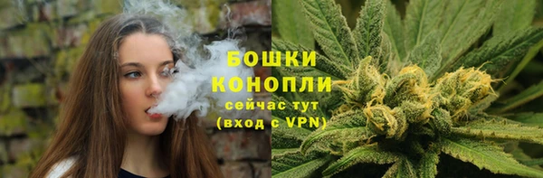 сатива Каменка